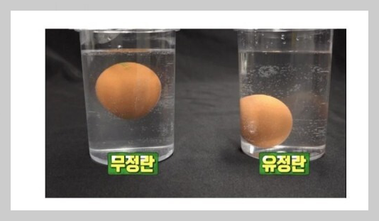 무정란 유정란 구분