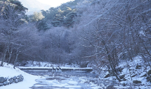 충남 겨울 명소 추천, 설경과 자연이 아름다운 겨울 여행지