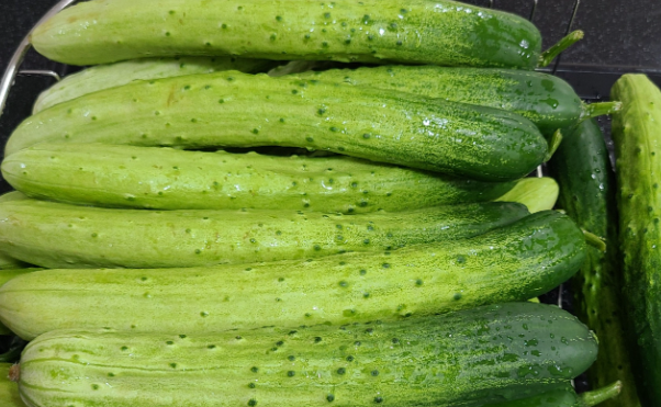 오이지 담그기, 전통오이지 오래 보관하는법