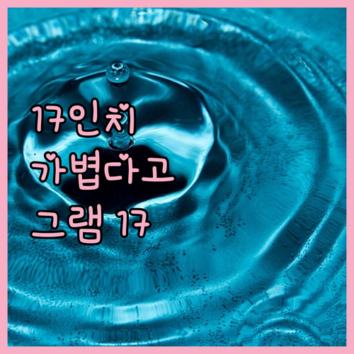 17인치인데 이렇게 가볍다고! LG