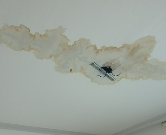 천장 누수의 복잡성