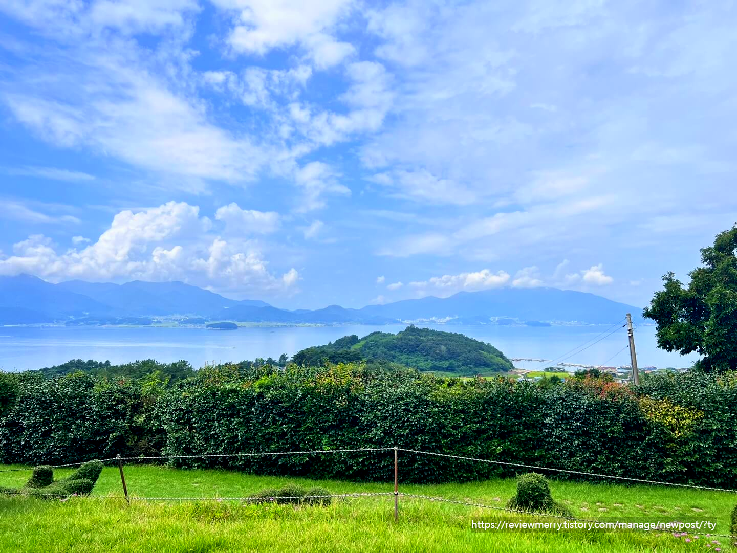 숲에서 본 풍경