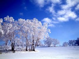 한국의 미술 부상