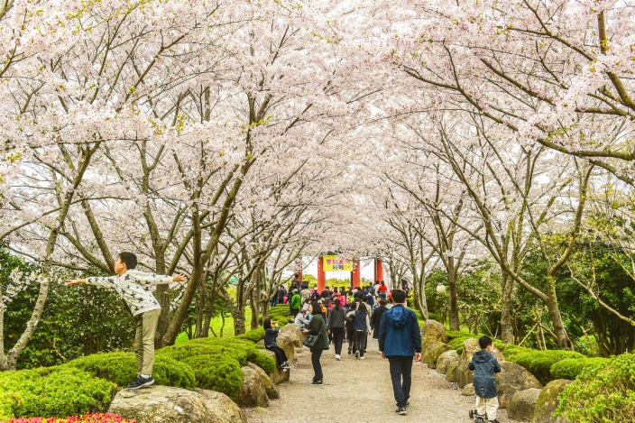 2024 유달산 봄축제 기간 가는 방법 주차장