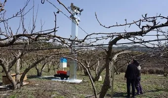 서리 발생 시기 농작물 보온 비닐 덮기 텃밭 관리_6