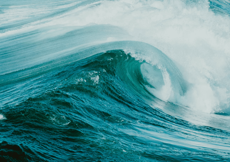 실손보험 청구 전산화