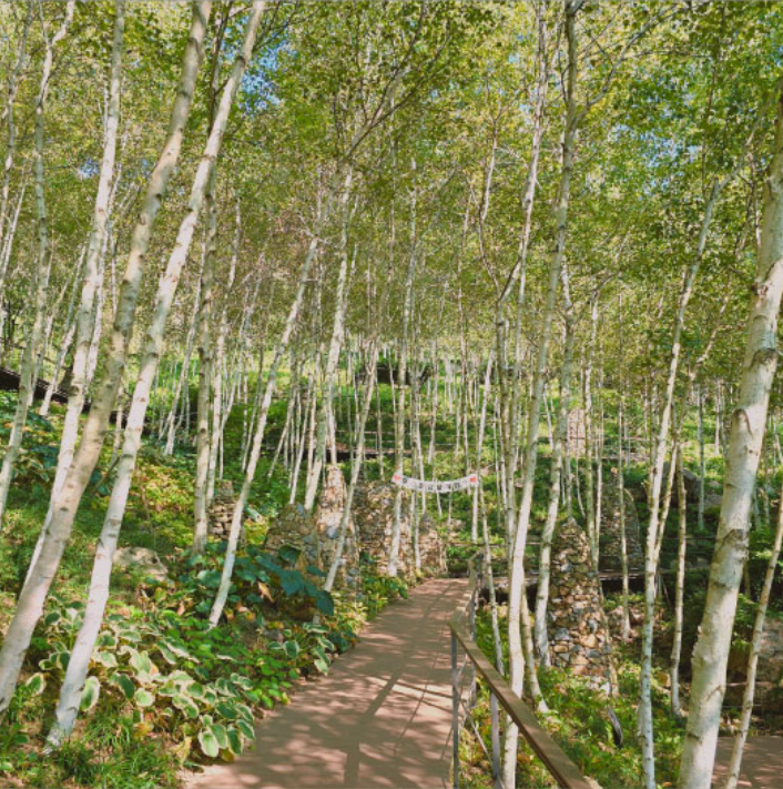 화담숲 절정 시기 입장료 모노레일 정보