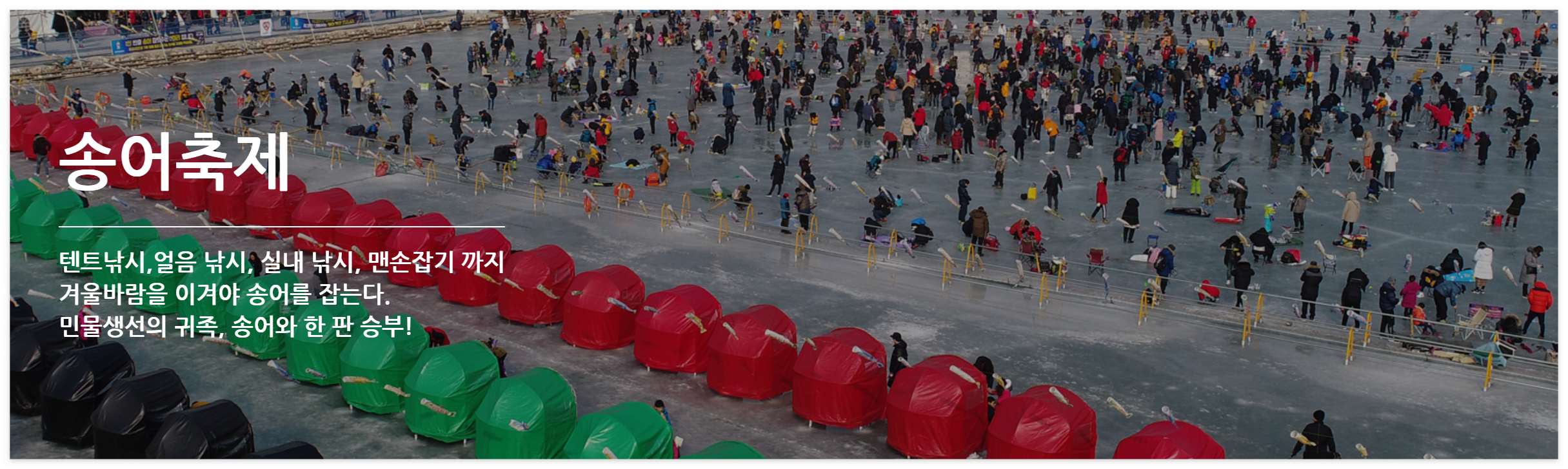 2025 평창 송어축제 완벽 가이드! 텐트낚시, 얼음낚시, 먹거리
