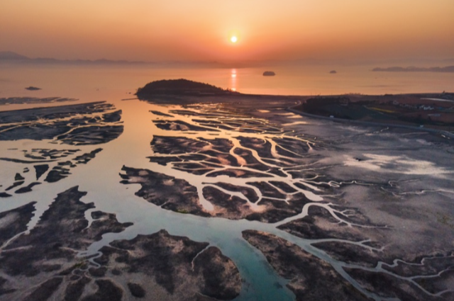 무안 아파트 단지별 상세 분석— 남악·오룡·무안읍을 중심으로 실제 정착 관점에서 본 아파트 평가
