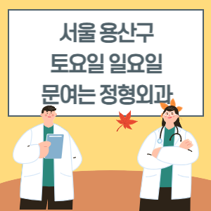 서울 용산구 토요일 일요일 정형외과 진료 병원 리스트