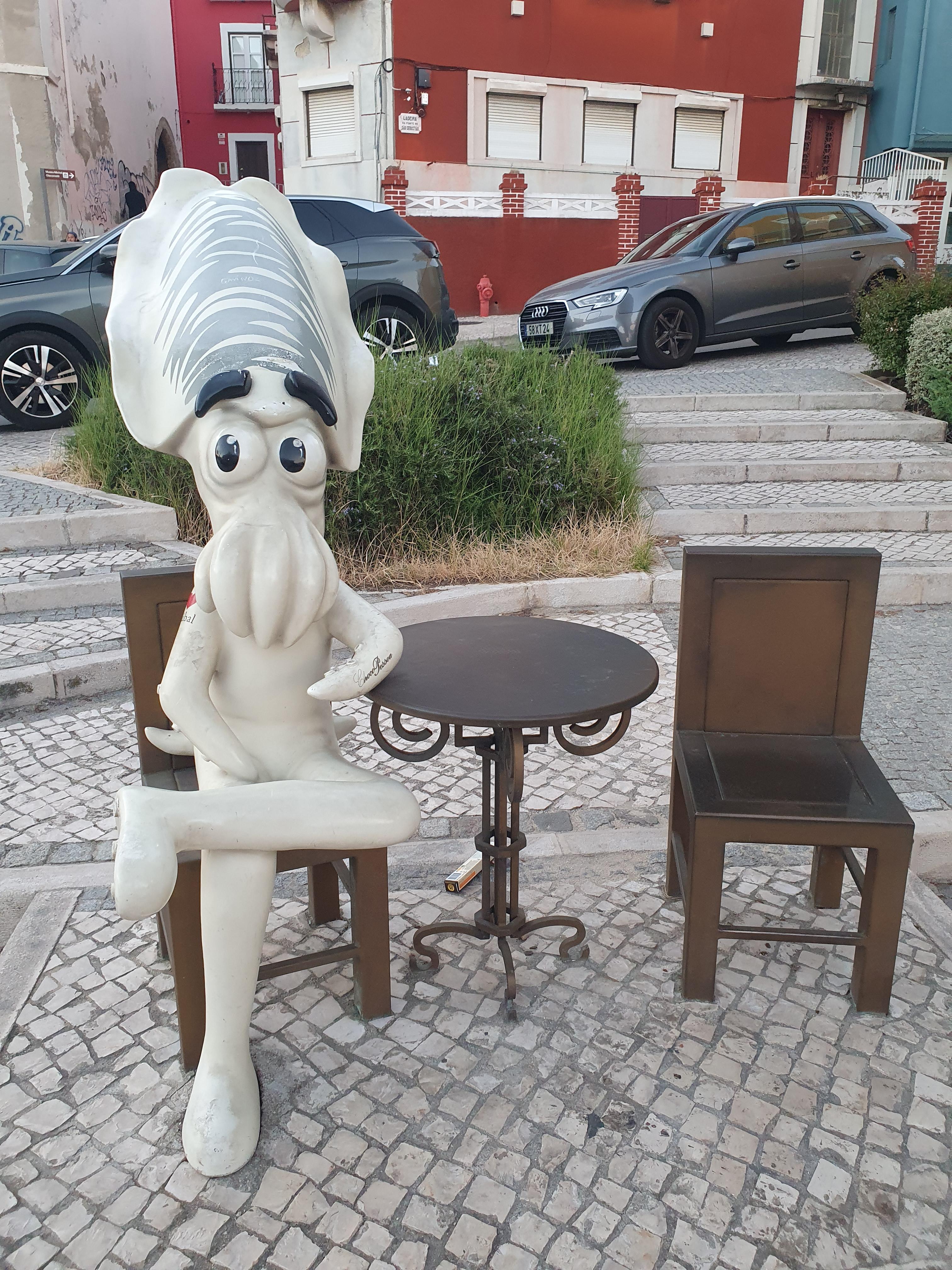 포르투갈 세투발 갑오징어