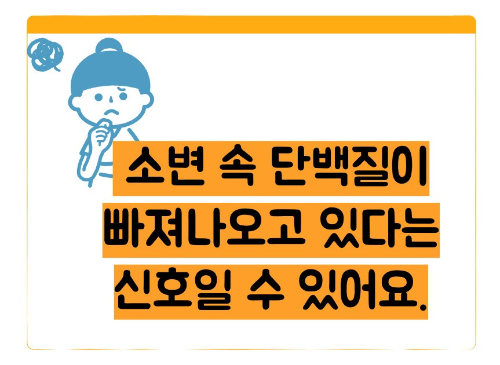 오줌에 거품