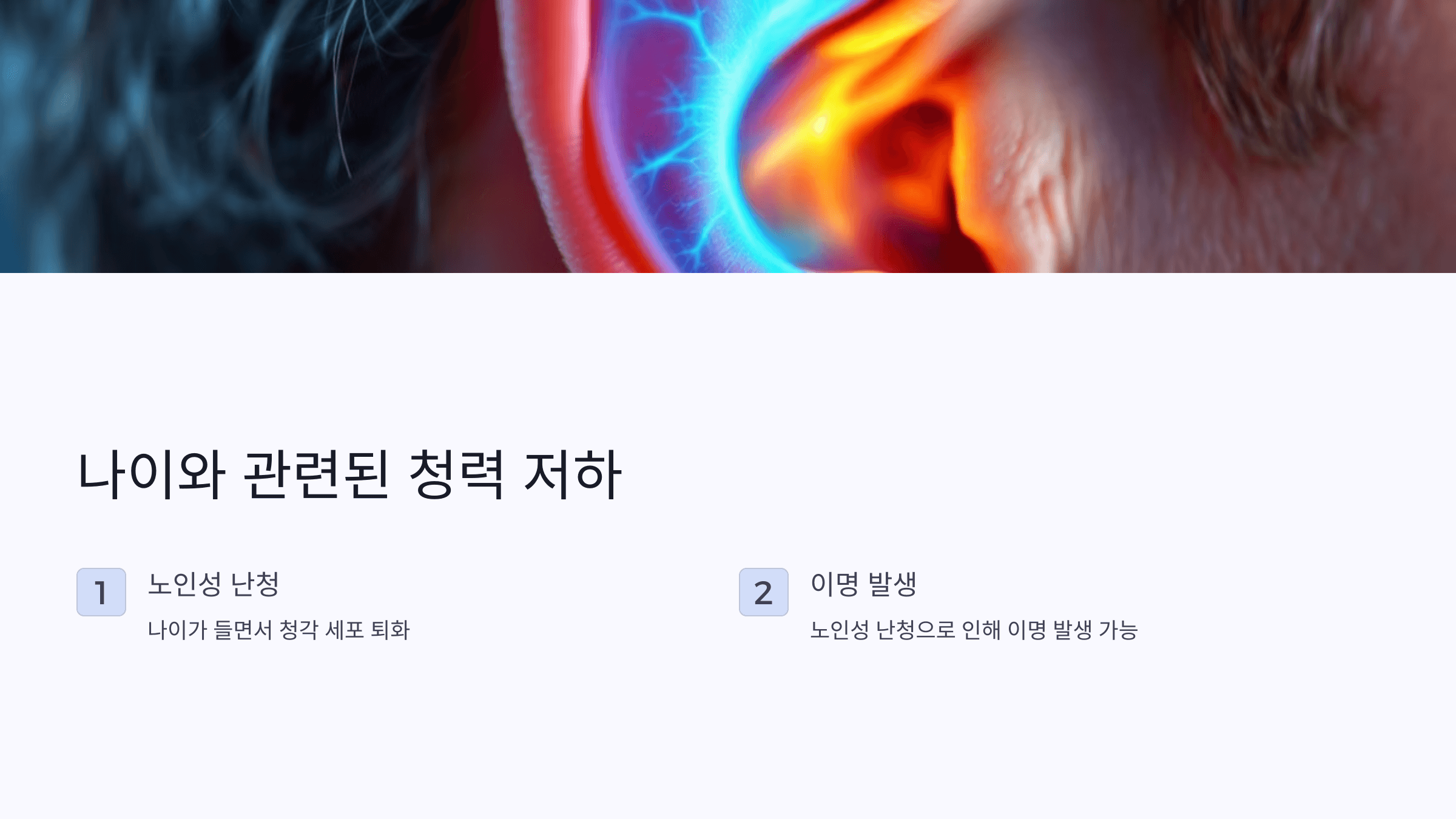 귀 사진입니다.