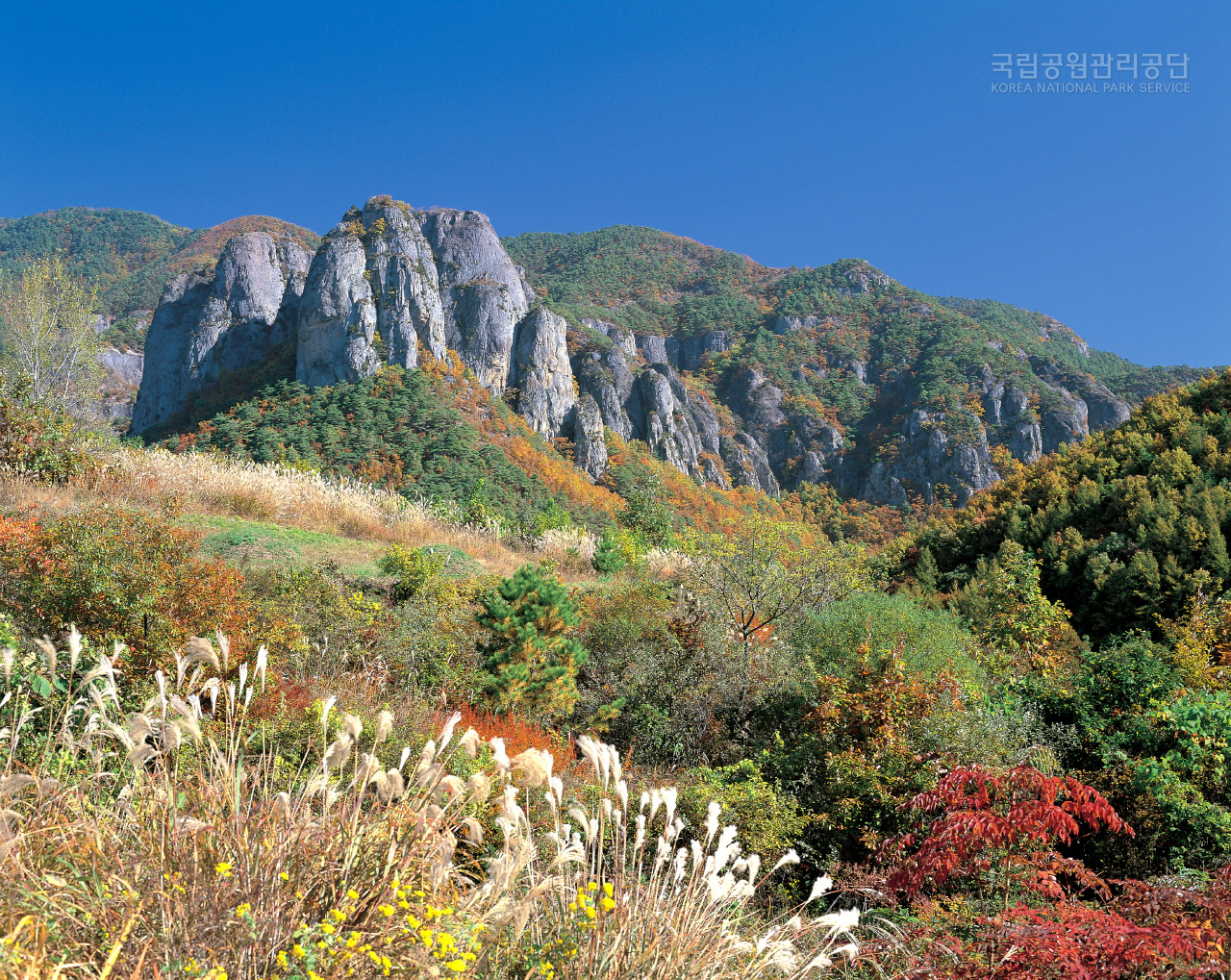 주왕산 추색절경