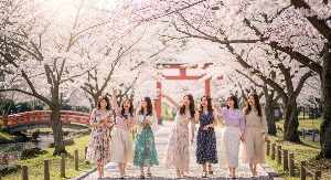 벚꽃개화시기 지역별 정리