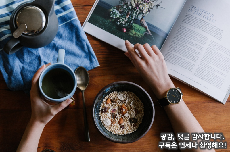 체내 체지방이 쌓이지 않는 음식