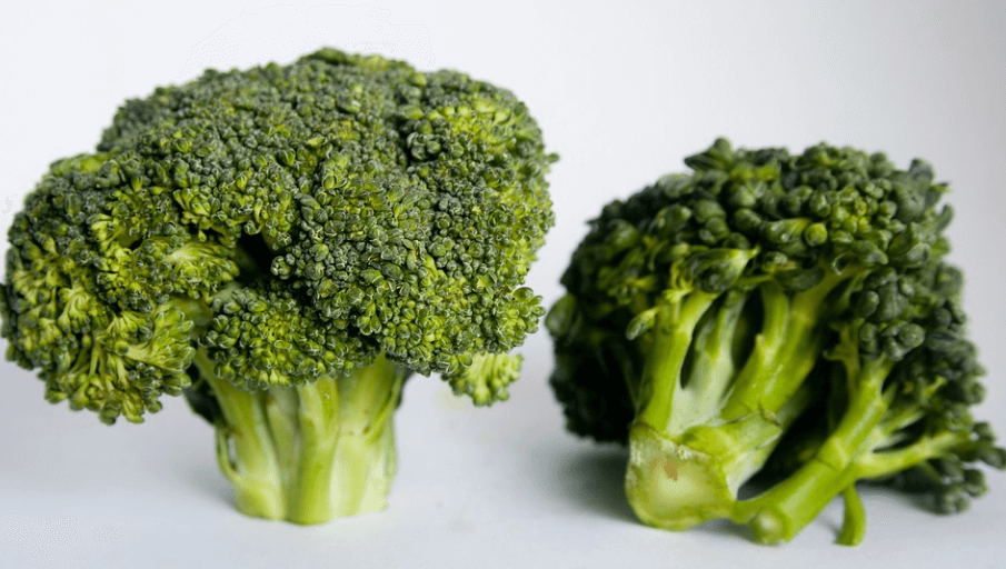 위산과다 증상에 좋은 음식 브로콜리 두 송이가 놓여 있다