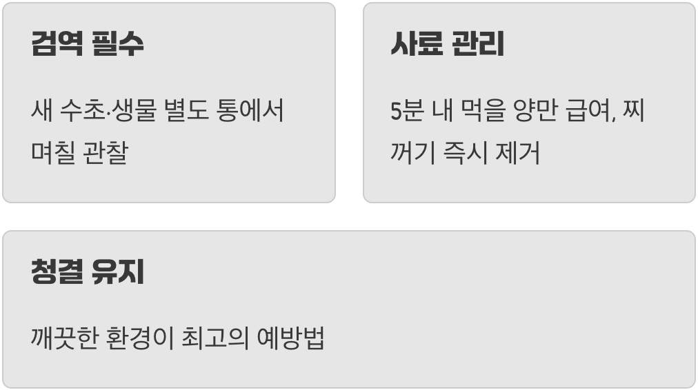 재발을 막는 예방 습관