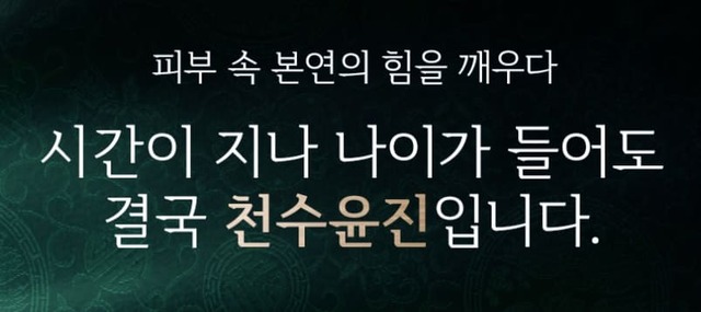 천수윤진 가격