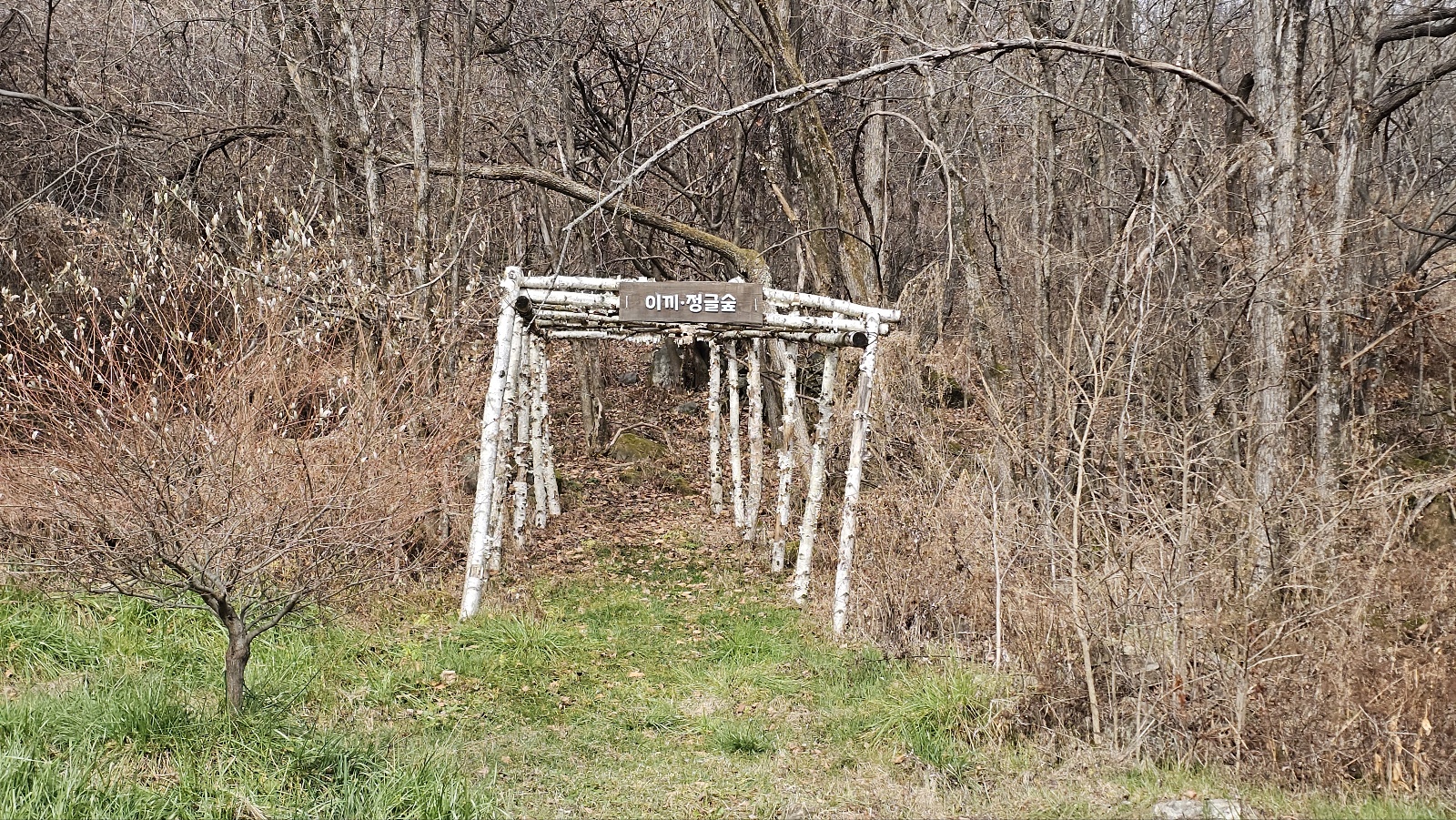 [24.11월] 아이와 평창 #1 - 모나 용평리조트 애니포레🏔️