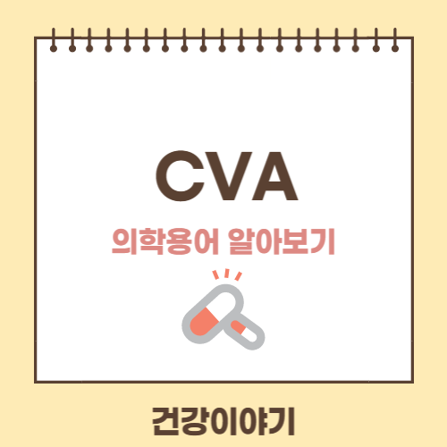 의학용어 CVA에 대해