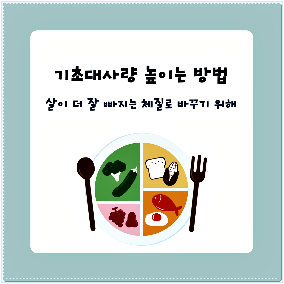 기초대사량 높이는 방법