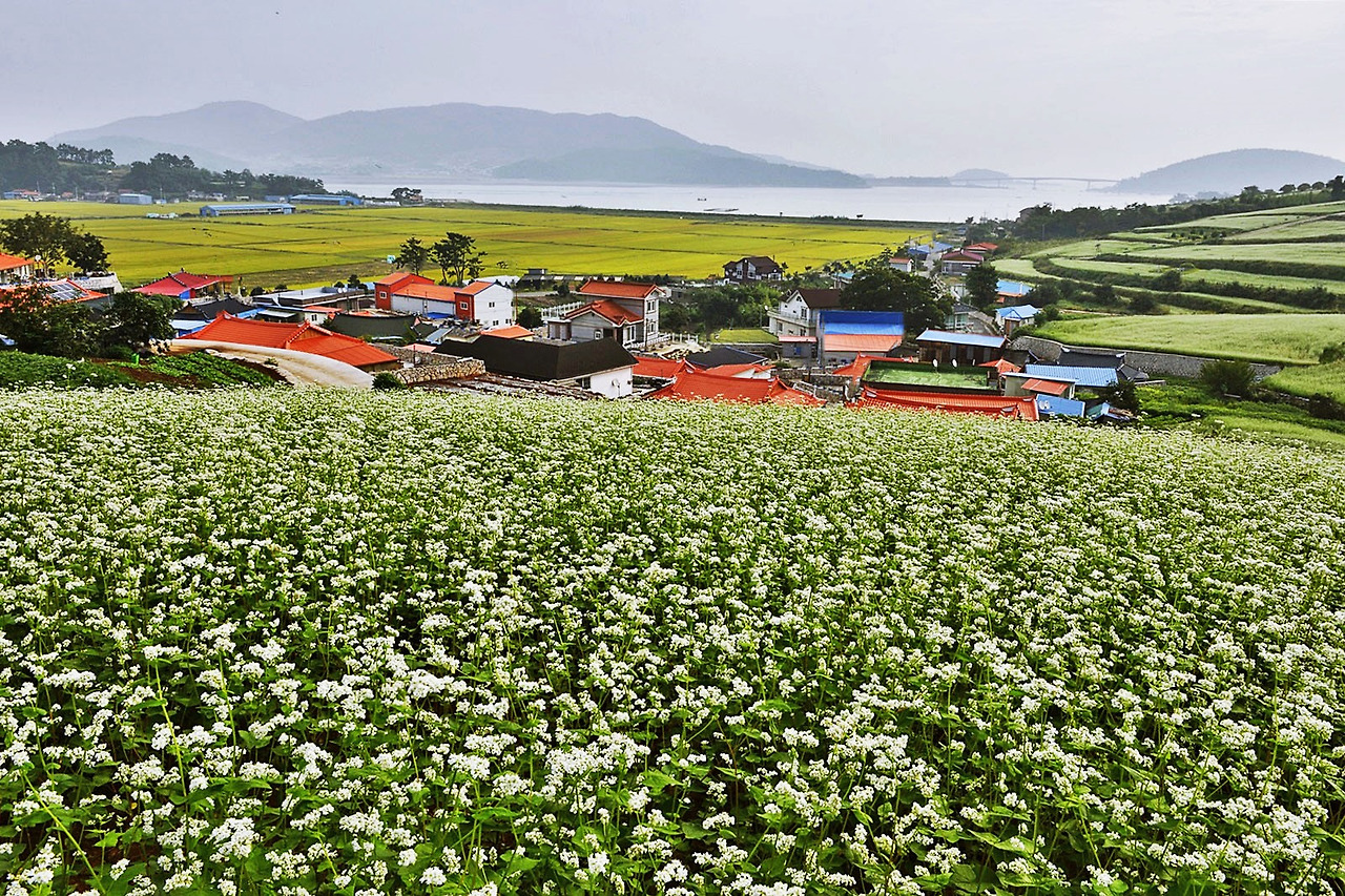 장흥 동네별 세부 분석(장흥읍&middot;관산&middot;대덕&middot;회진&middot;용산&middot;부산면 등 장흥 주요 생활권)