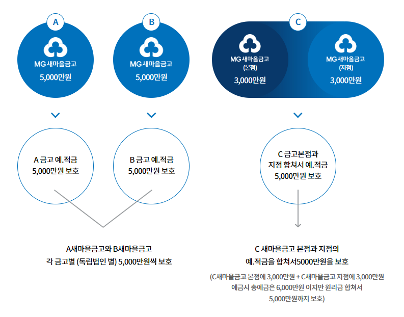 새마을금고부실