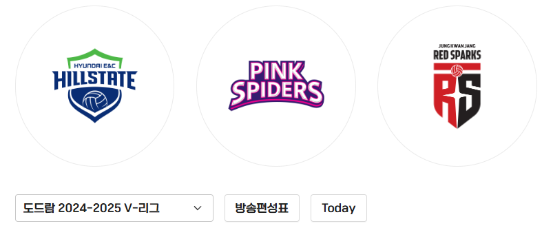 2024-25년 여자 배구 일정 및 순위