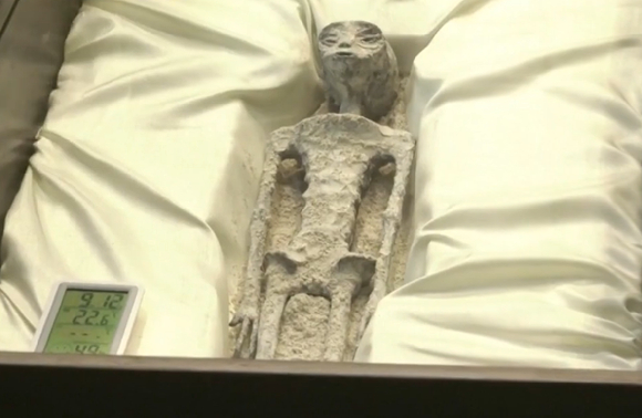 12일(현지시간) 멕시코 의회가 연 청문회에서는 '인간이 아닌 존재'의 시신이라고 주장하는 물체가 등장했다. [사진= JTBC News]