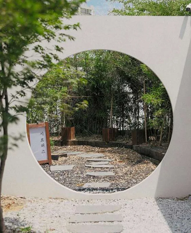 시트러스