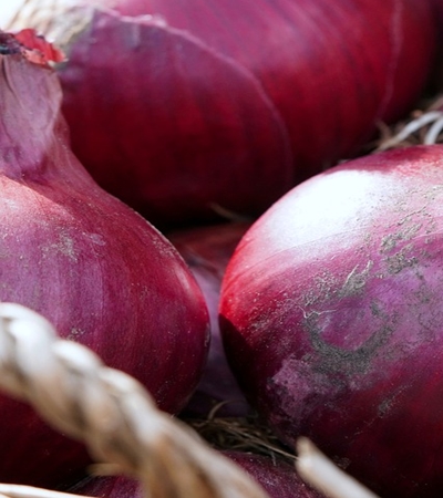 양파 효능 사진43