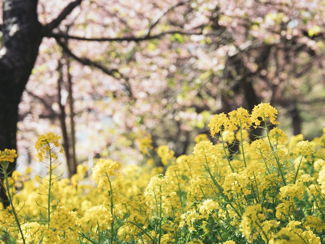 April