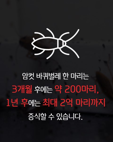 세스코 가정집 비용, 세스코 가정집 후기, 세스코 무료진단