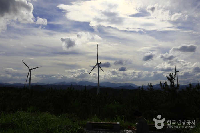 영덕 가볼만한곳 베스트10