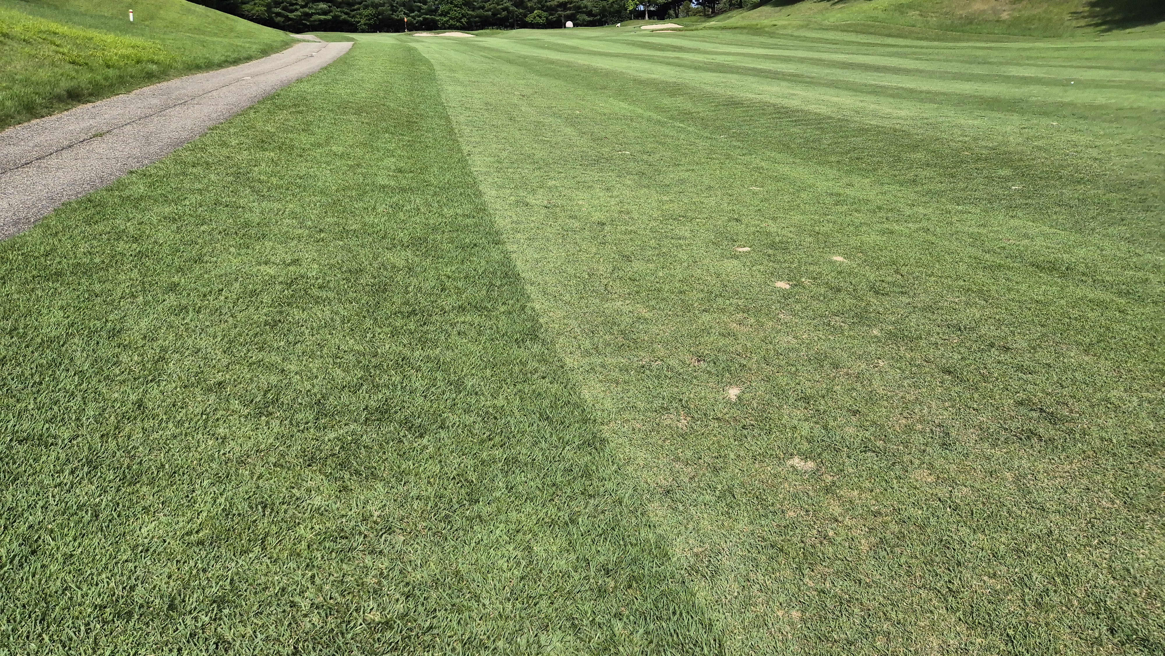 태광cc 북-서 코스 라운드 후기