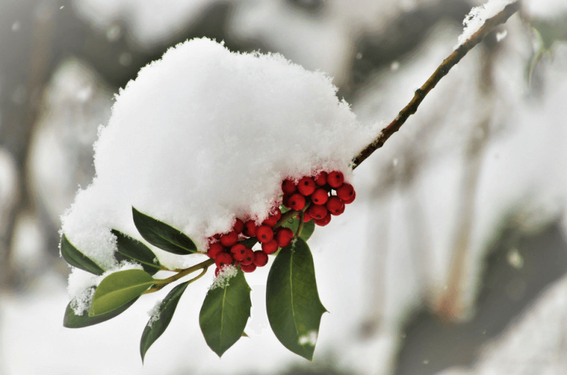 아이들 성장에 중요한 겨울철 숙면방법