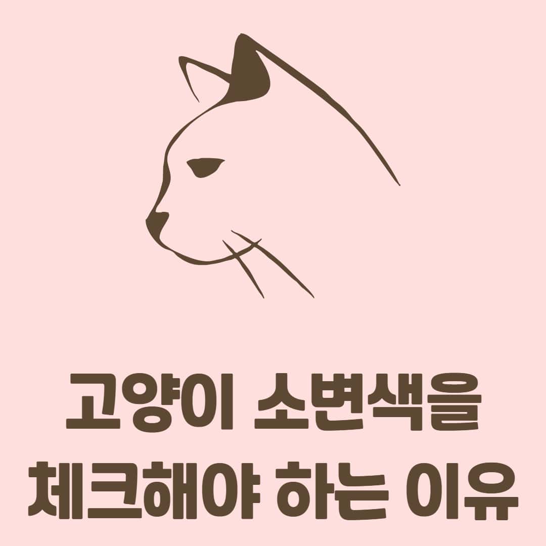고양이 소변색 변화로 알 수 있는 질병과 치료 방법