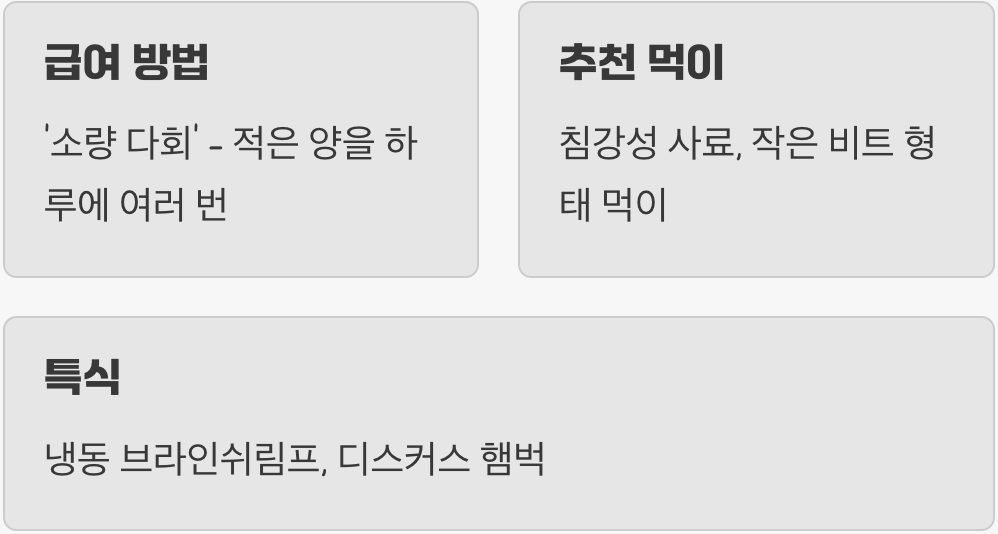 먹이 - 미식가를 위한 '소량 다회' 식단