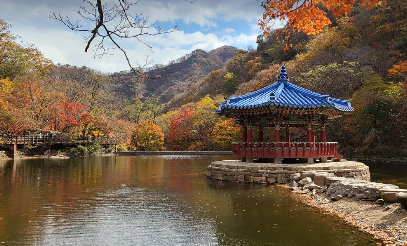 내장산 단풍여행