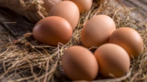 계란(달걀)효능