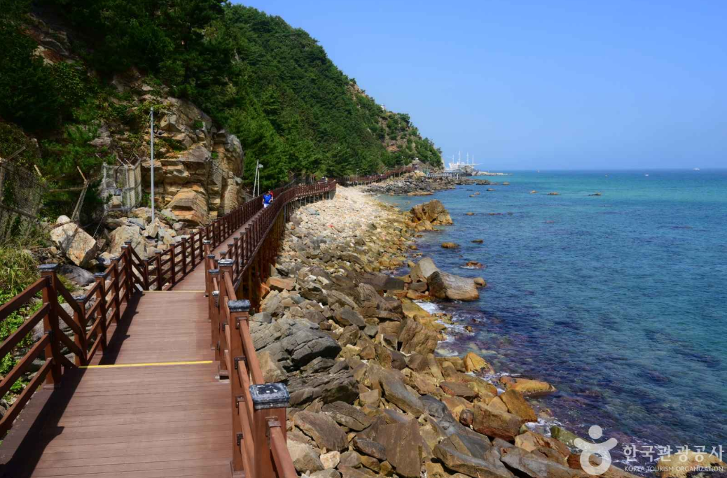 정동심곡 바다부채길 사진