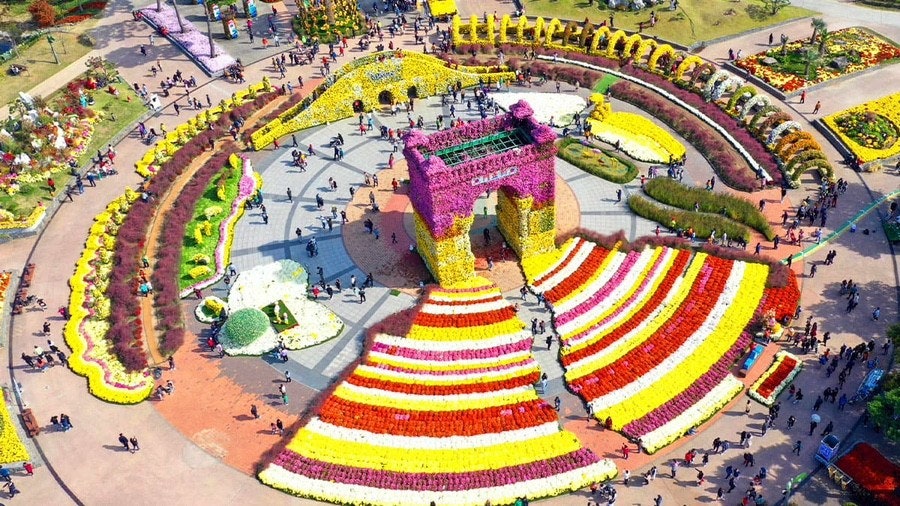 2025 대한민국 국향대전|“마법의 국향랜드” 가을 축제 완전정리 관련 사진