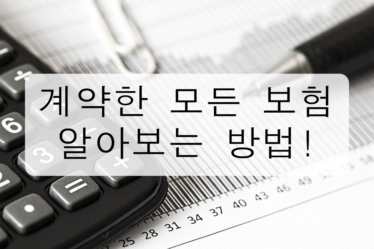 자신이 계약한 보험 알아보는 방법! 보험 조회 계약한 보험 보험 조회해보기 보험 알아보기 자신이 계약한 보험 자신이 계약한 보험 알아보기 자신이 계약한 보험 조회