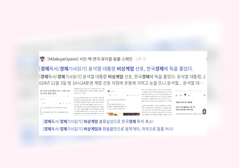 비상계엄과 경제_2_subsection