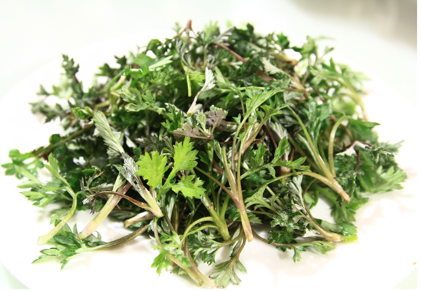 쑥-효능-말리는법-쑥뜸