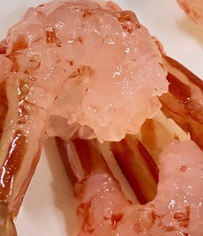 꽃새우