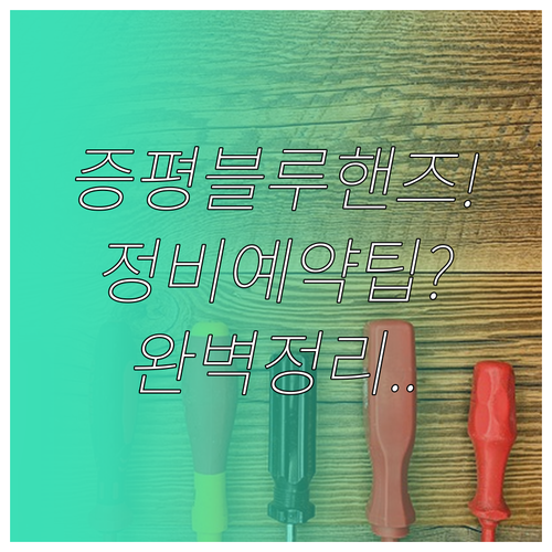 증평군 현대자동차 블루핸즈 지점별 특..