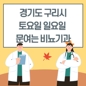 경기도 구리시 토요일 일요일 비뇨기과 진료 문여는 병원 리스트