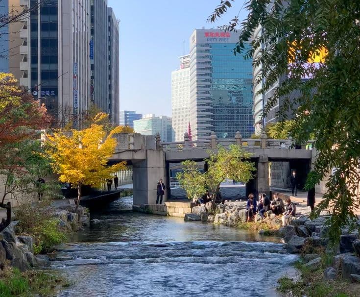 작은 물길 하나가 도시를 바꾼다? 생태 복원과 미세 기후 변화